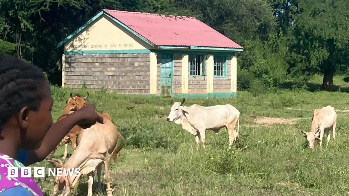 Over 2,000 Kenyan Primary Schools Face Closure as Rural Enrolment Plummets