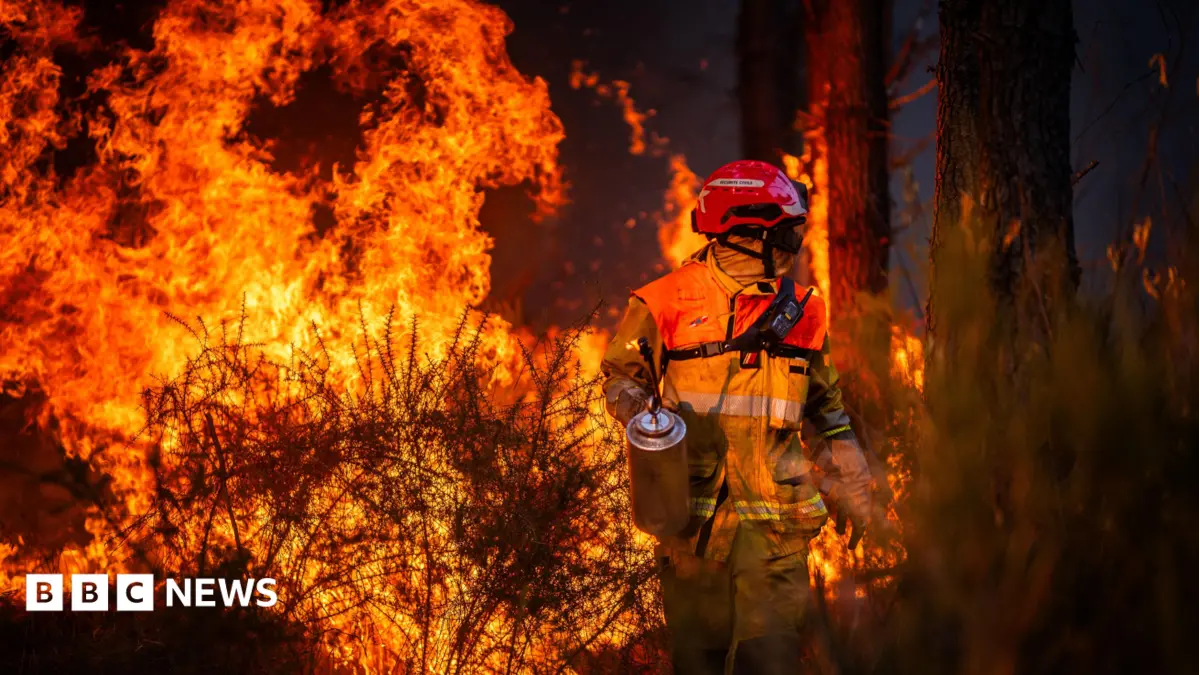 Hundreds Arrested as French Government Seeks Arsonists for Catastrophic Wildfires