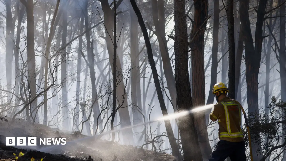 Spain Wildfire Claims Twelve Lives, Injures Six in Almería Province