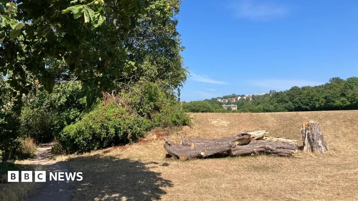 London Man Charged with Murder After Body Discovered in Kent Woods Suitcase