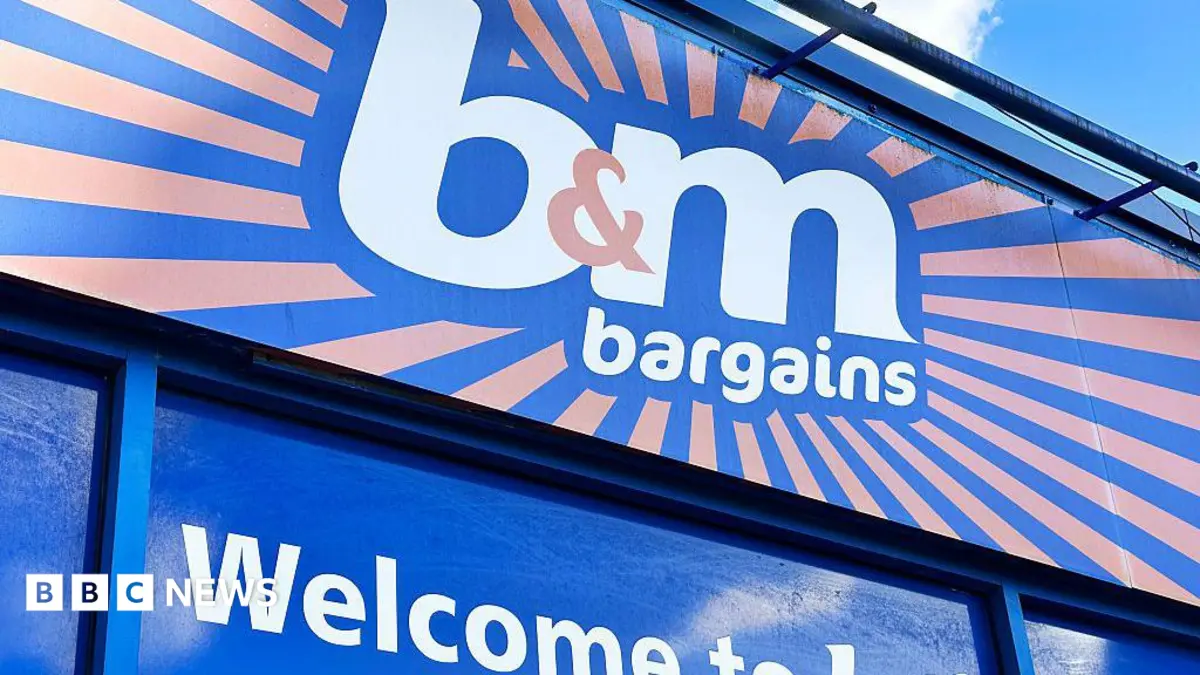B&M Retail Ltd Penalised £2 Million for Persistent Mouse Infestations Across Birmingham Stores