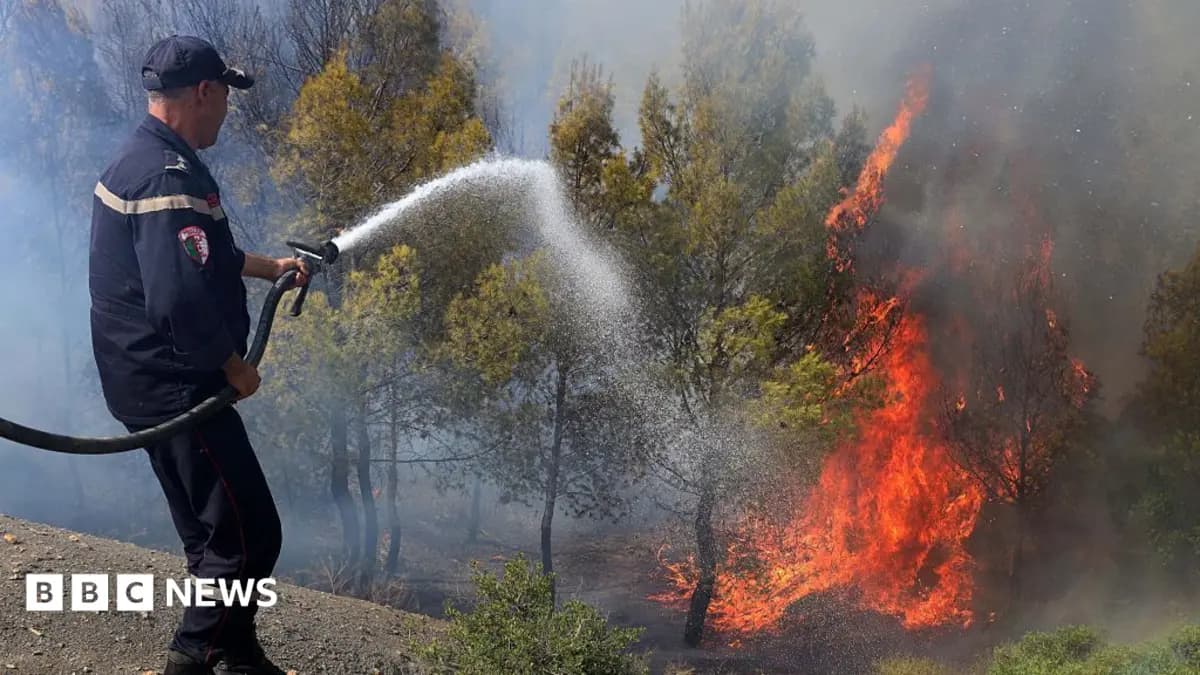 Northern Algeria Wildfires Kill Twelve People, Destroy Homes in Bejaia and Bouira