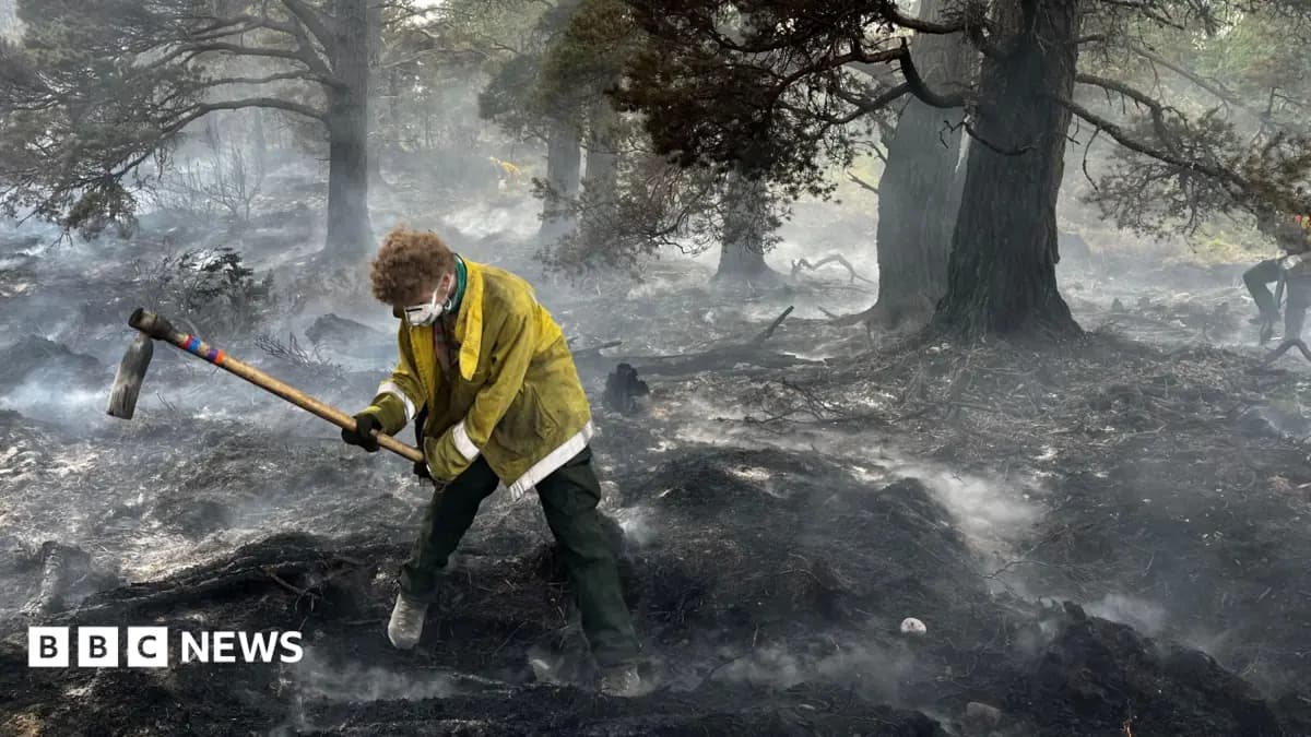 £50 Million Government Funding Allocated for Cairngorms Fire Restoration and Scottish Wildlife