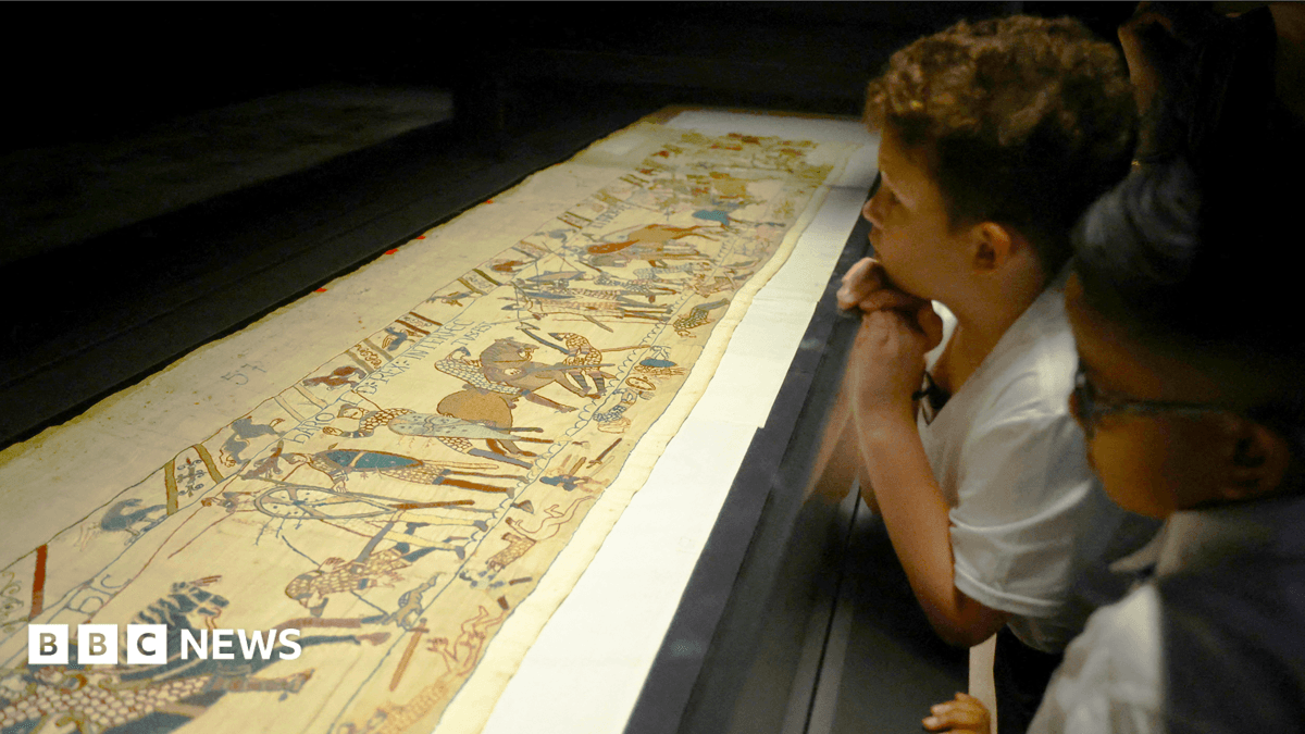 British Museum Apologises for Bayeux Tapestry Exhibition Queues and Overcrowding