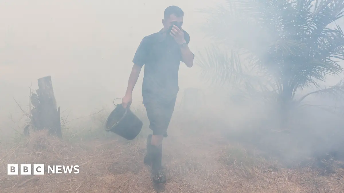 Indonesia Reports 175,000 Respiratory Illness Cases From Sumatra Wildfire Haze