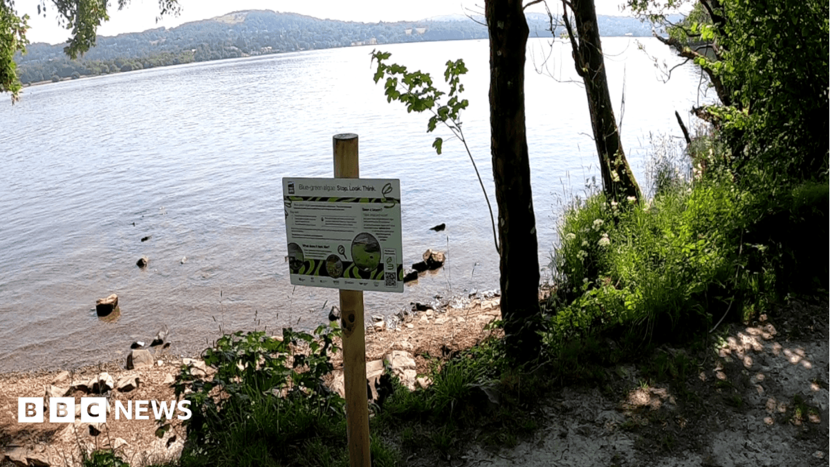 Lake Windermere Receives 40 Algae Poisoning Risk Warning Signs