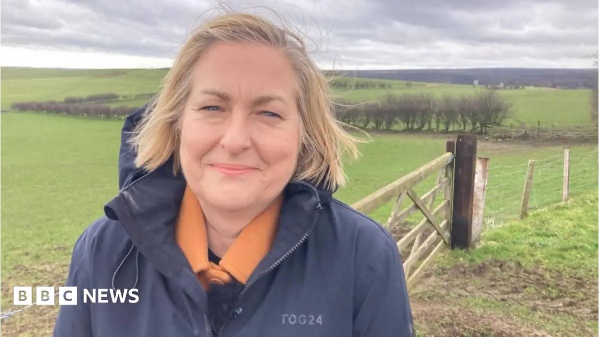 Langdale Moor Wildfire Losses Overlooked Due to Northern Location, Says MP Alison Hume