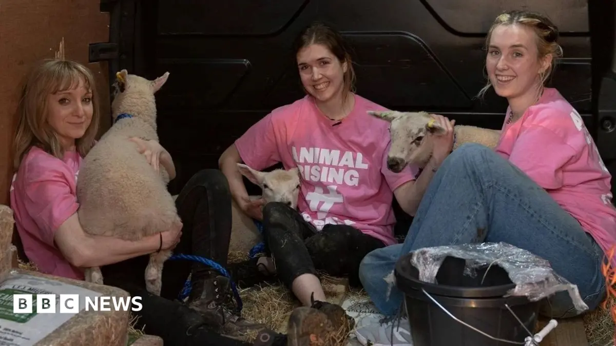 Activists Convicted of Theft After Removing Lambs From King's Sandringham Estate