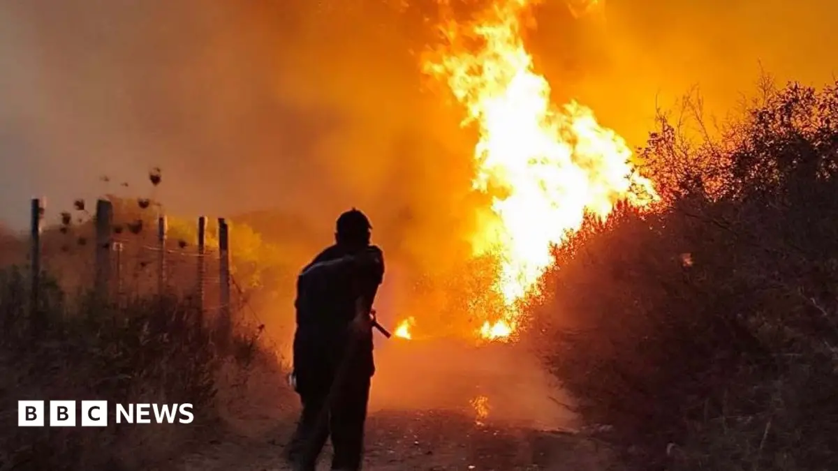 Algeria Enacts Death Penalty for Arson, Over 200 Fatalities in Summer Wildfires