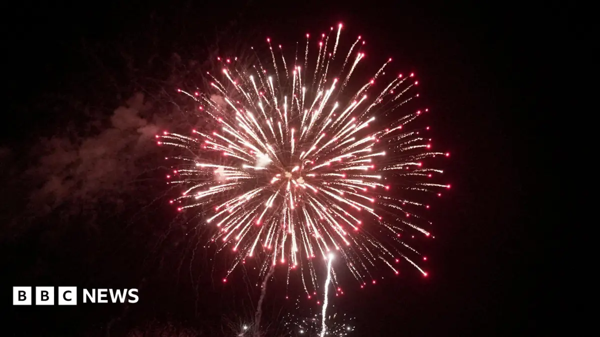 MPs Urge Public Fireworks Ban After UK Wildfires Strain Emergency Services