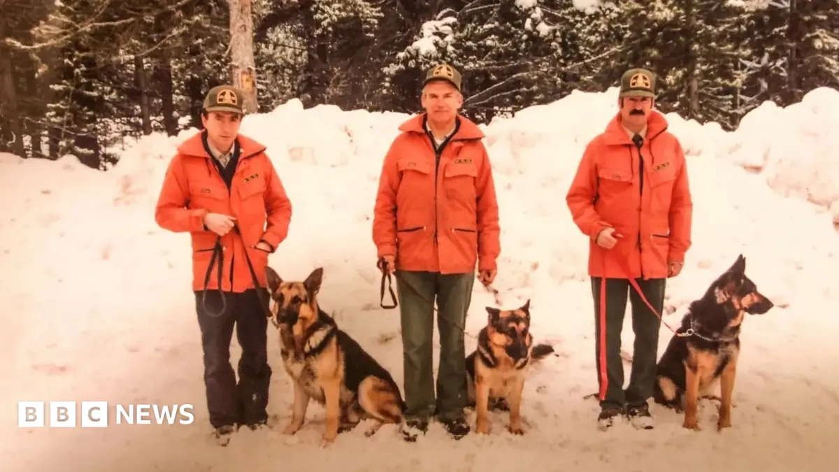 Canada Cuts Rocky Mountain Avalanche Dog Rescue Programme After 55 Years