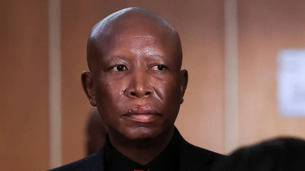 Julius Malema Sentenced to Five Years for Firearm Offences