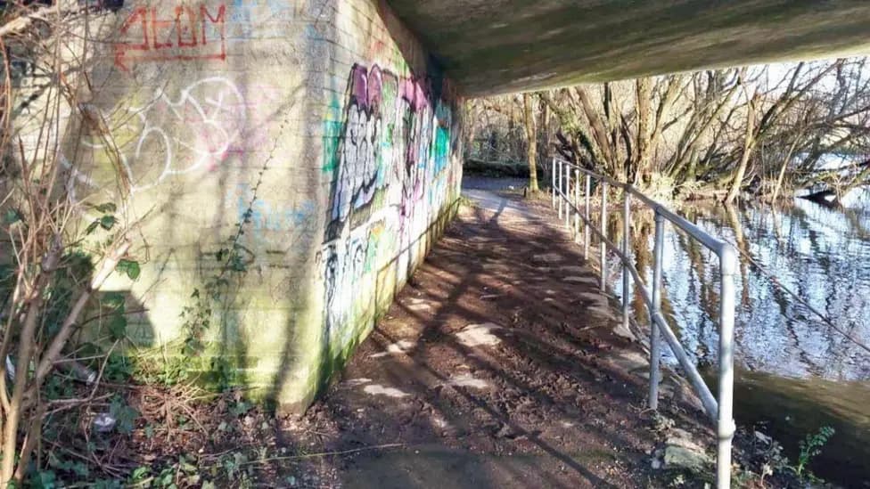 Hampshire Rape Convictions: Judges Cite Intellectual Limitations in Teenagers' Non-Custodial Sentences