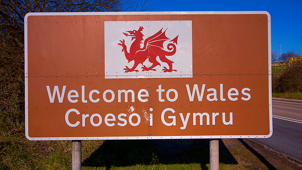 Plaid Cymru Candidate Rejects Independence as Senedd Election Focus