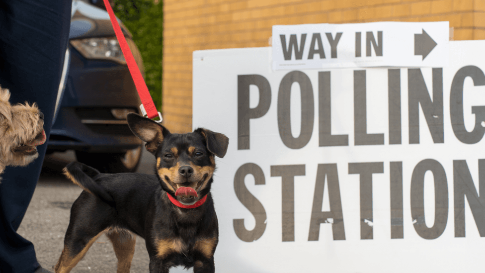 Sixty-Four Labour MPs Demand National Commission on UK Electoral System Reform